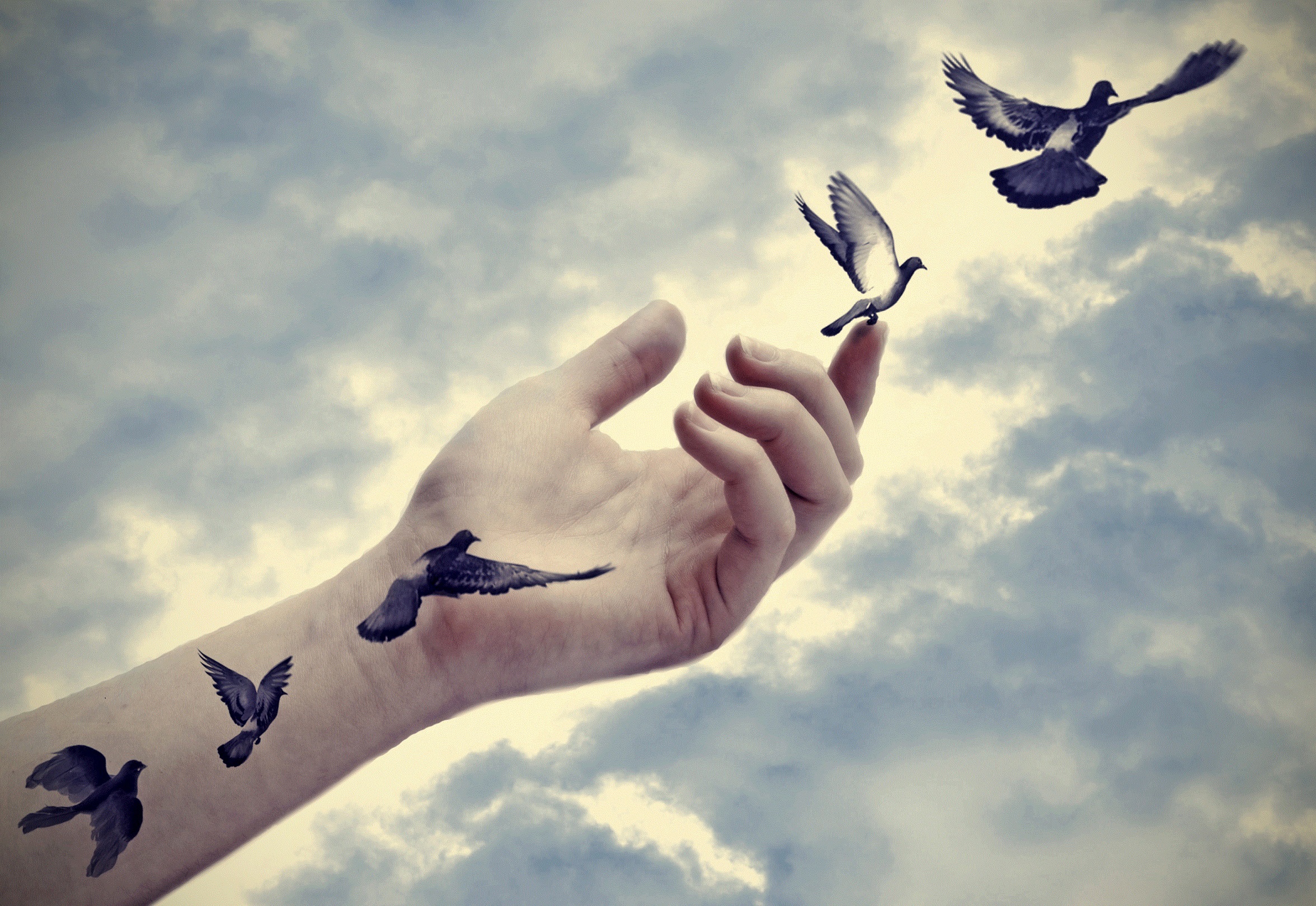 Let Go and Control Your Own Narrative